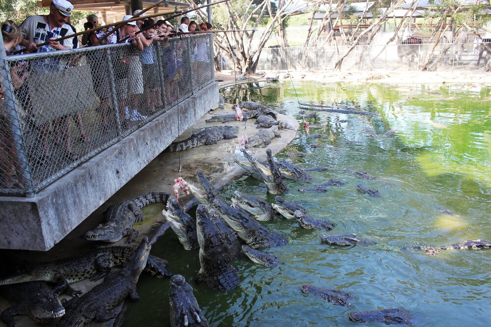 Изображение 535.jpg