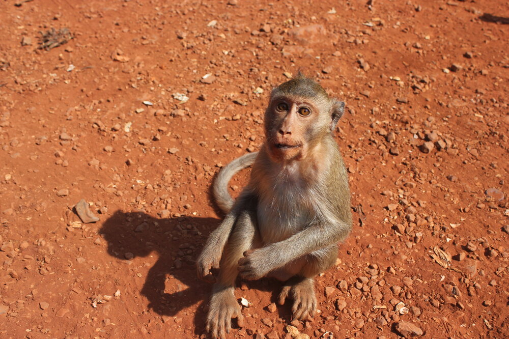 Изображение 1010.jpg