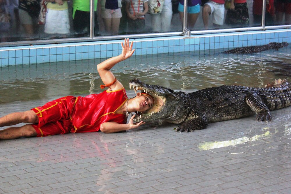 Изображение 682.jpg