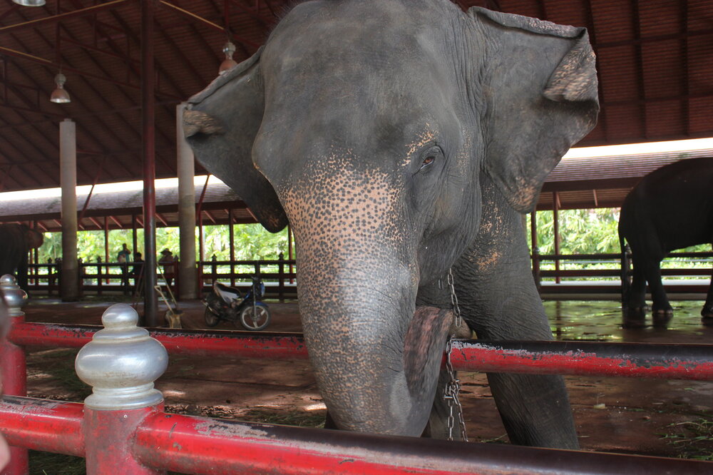 Изображение 1610.jpg