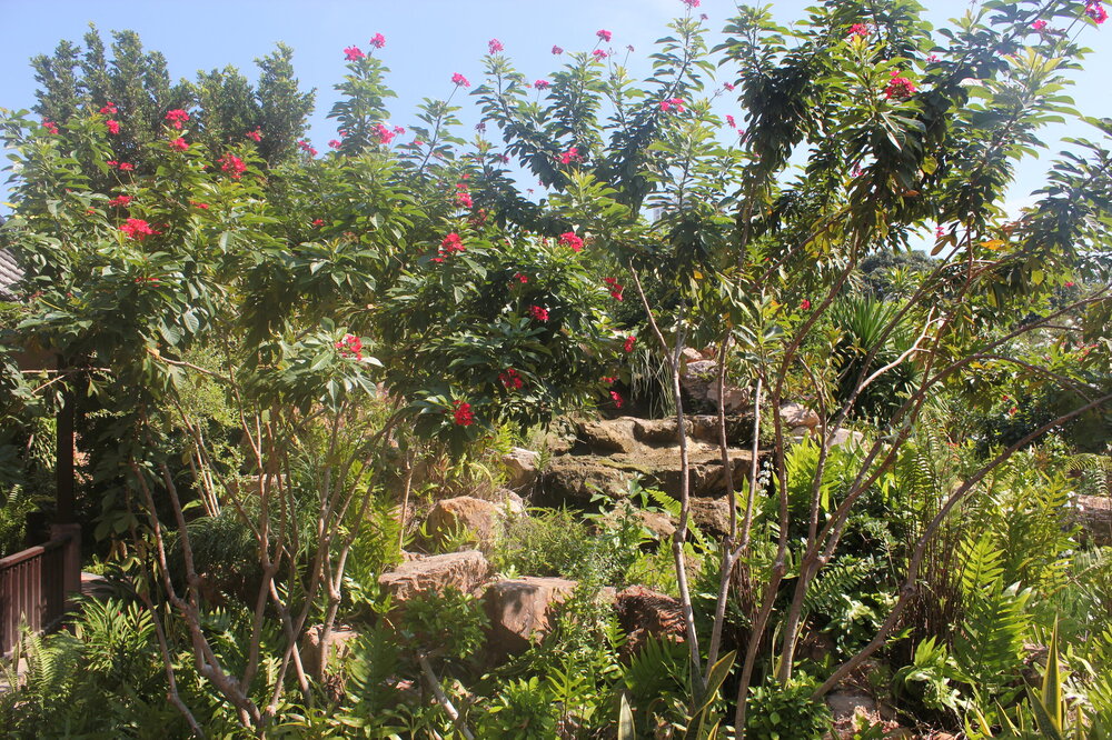 Изображение 1487.jpg