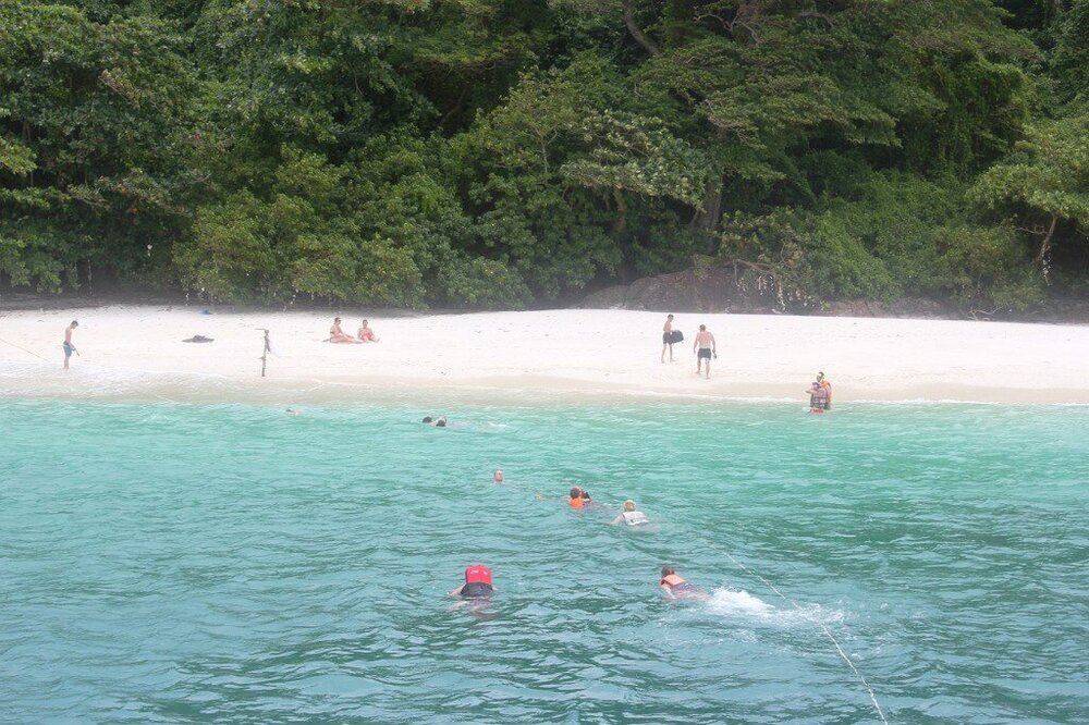 Изображение 2344.jpg