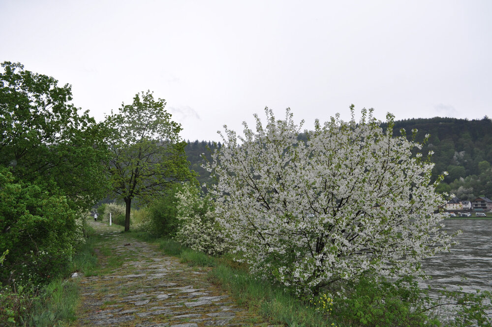 вояж 2013  (3872).jpg