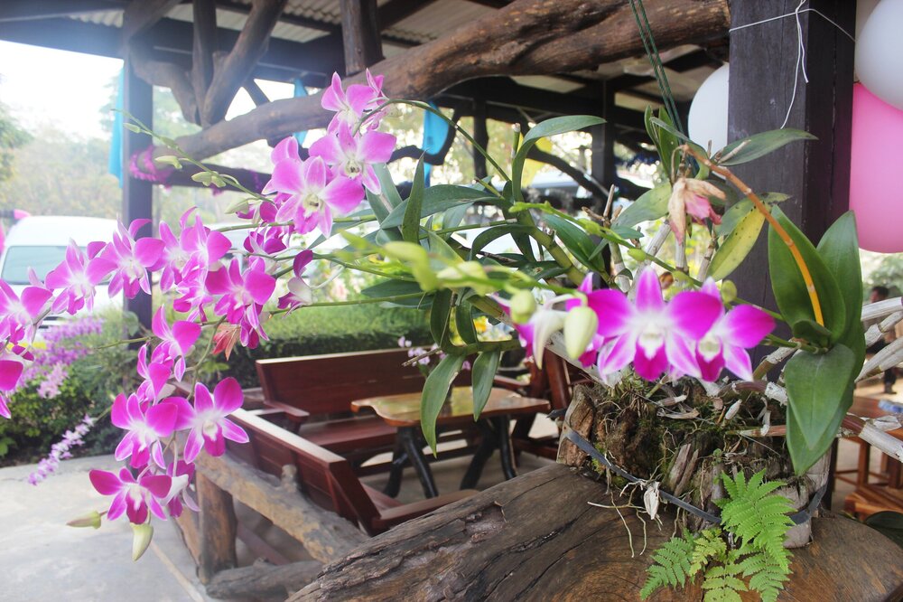 Изображение 1181.jpg