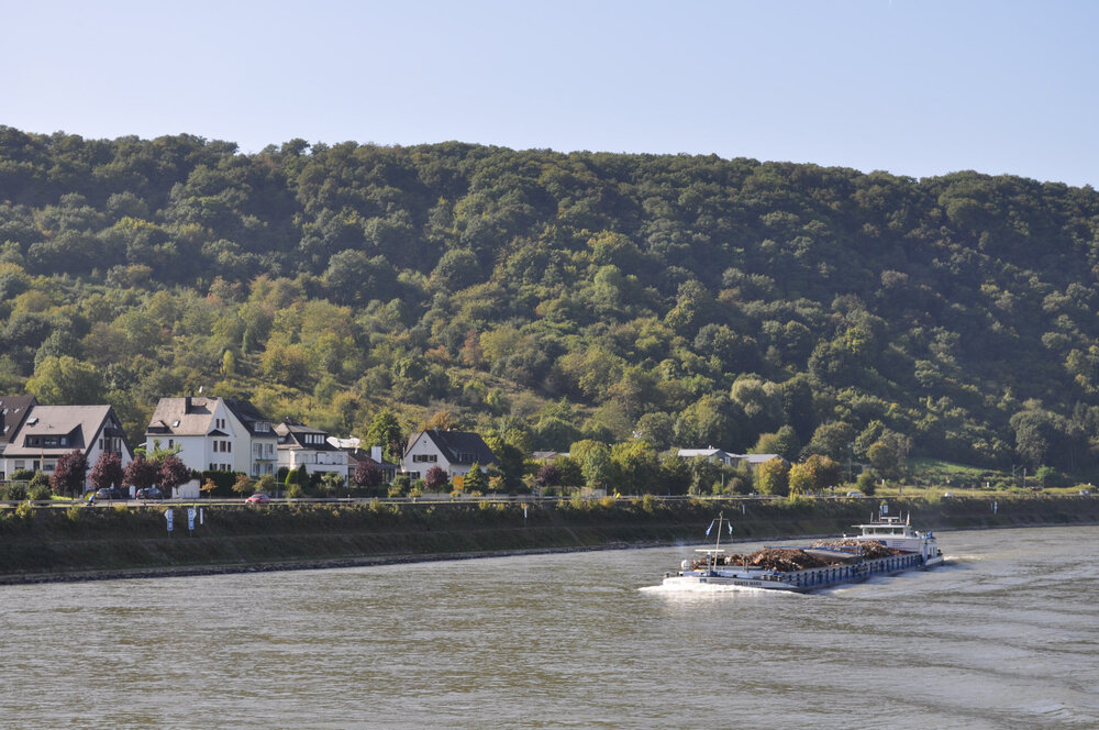 викинги (1067).jpg