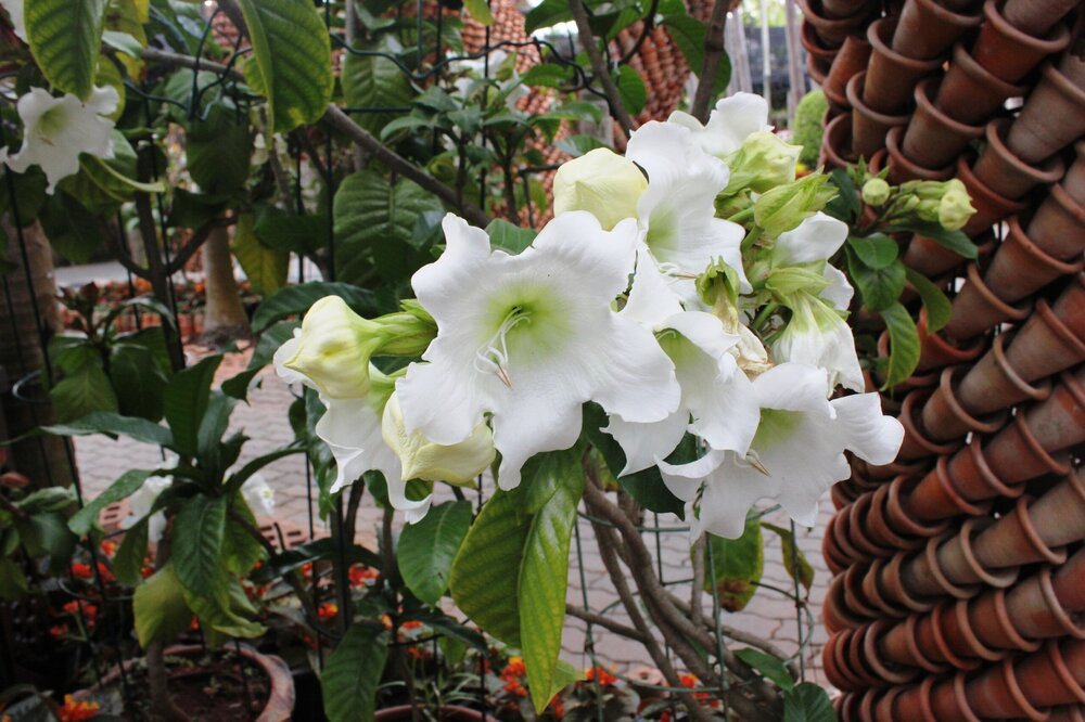 Изображение 1845.jpg