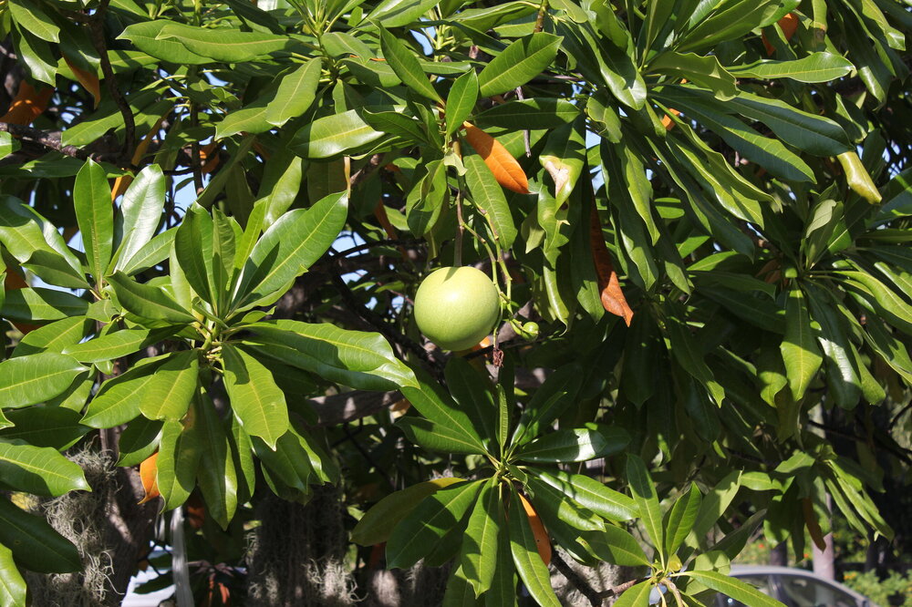 Изображение 007.jpg