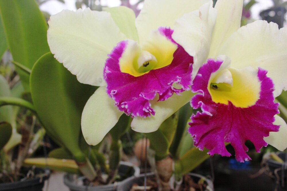 Изображение 1912.jpg