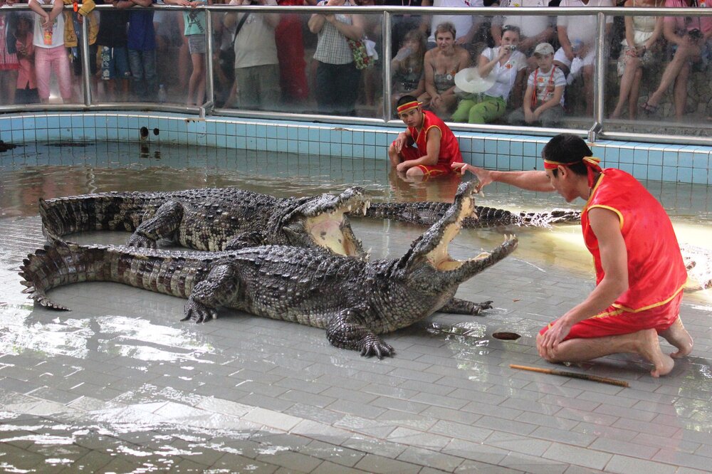 Изображение 634.jpg