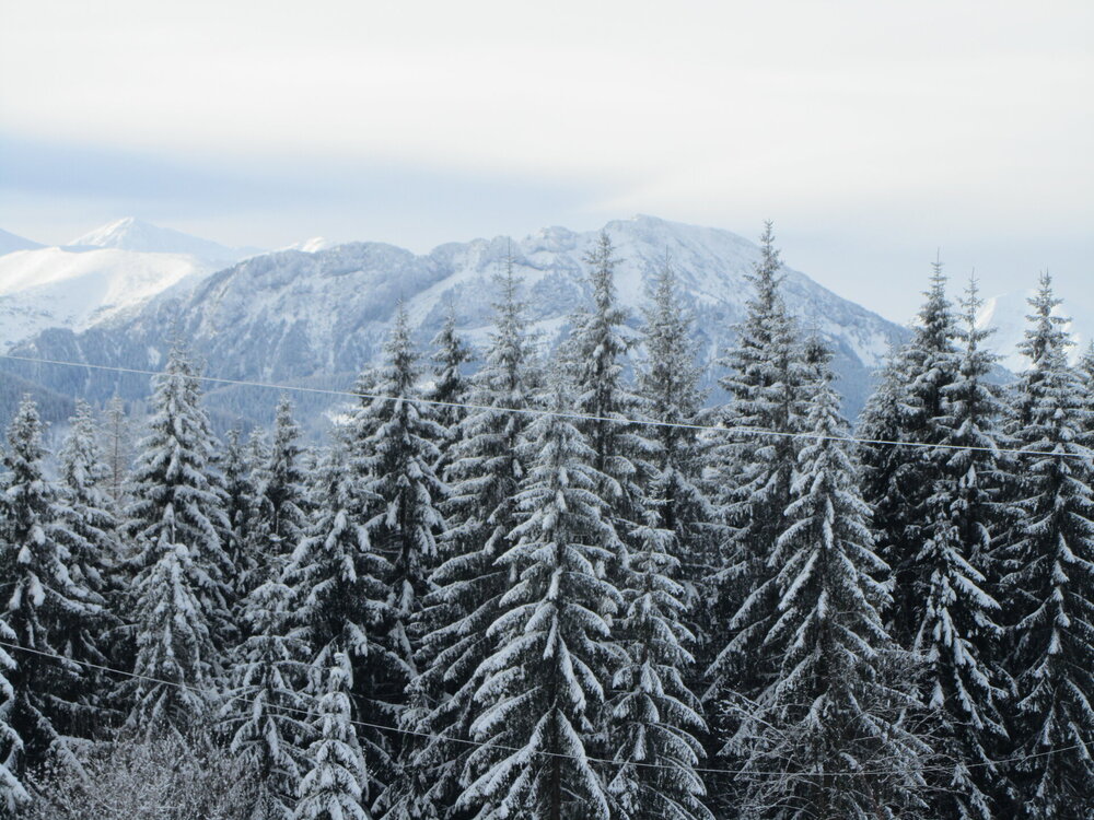 IMG_3697 - копия.jpg