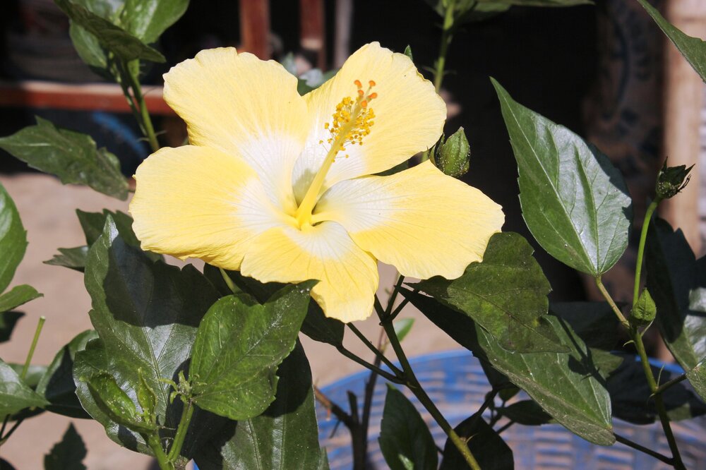 Изображение 1301.jpg