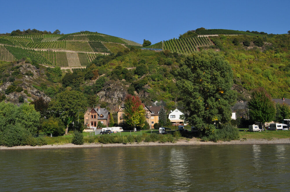 викинги (1149).jpg