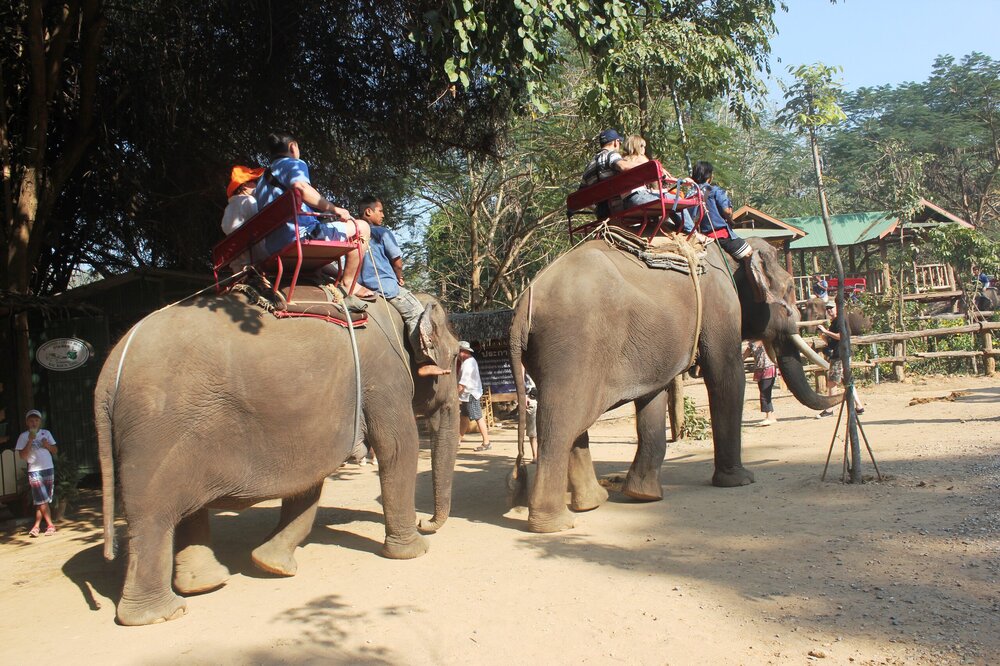 Изображение 1071.jpg