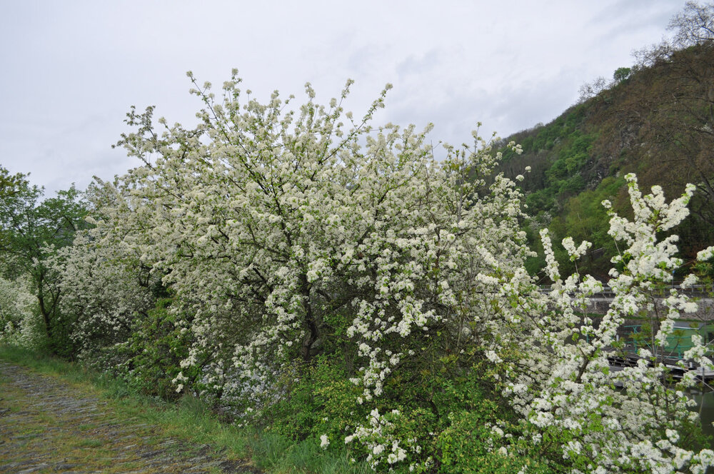 вояж 2013  (3858).jpg