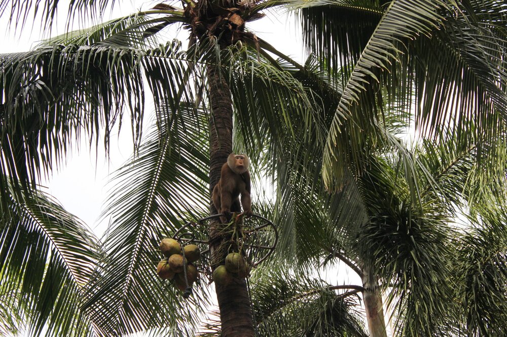 Изображение 1739.jpg