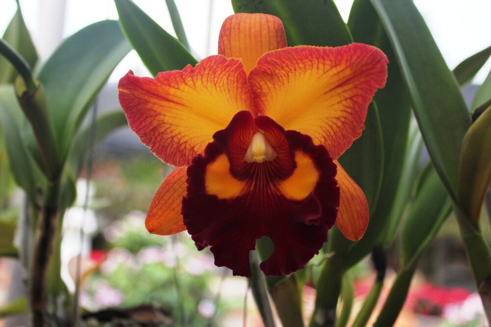 Изображение 1905.jpg