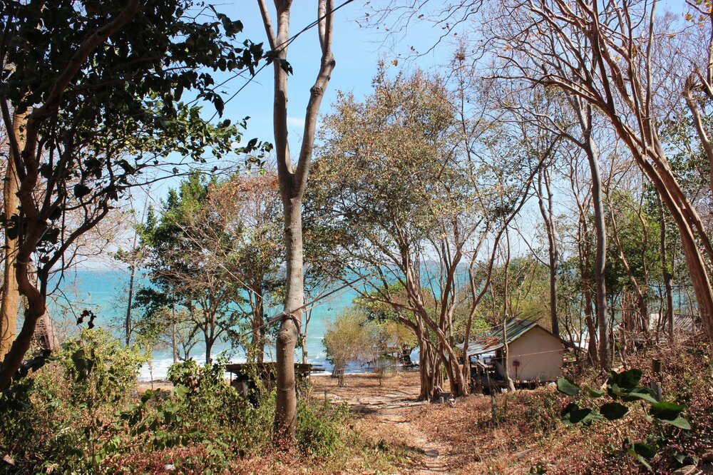 Изображение 2038.jpg