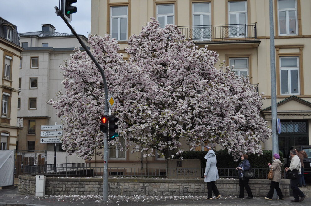 вояж 2013  (3545).jpg