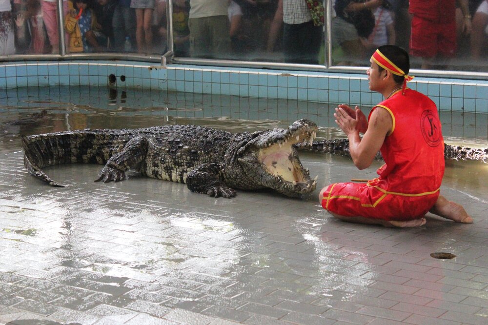 Изображение 622.jpg