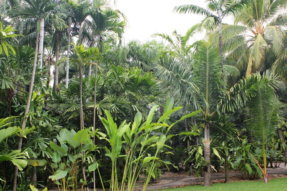 Изображение 1824.jpg