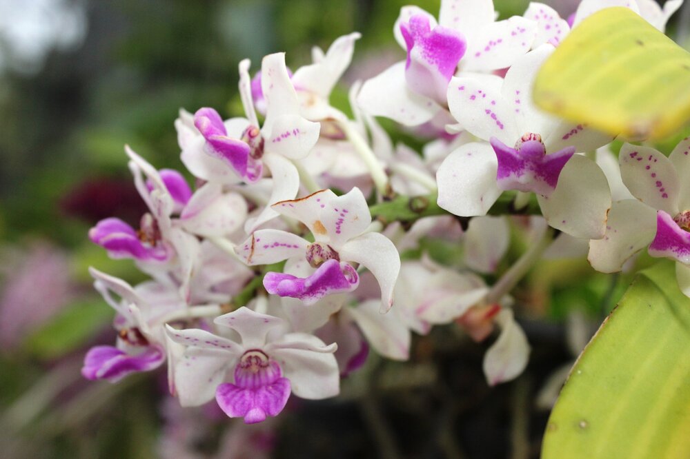 Изображение 1917.jpg