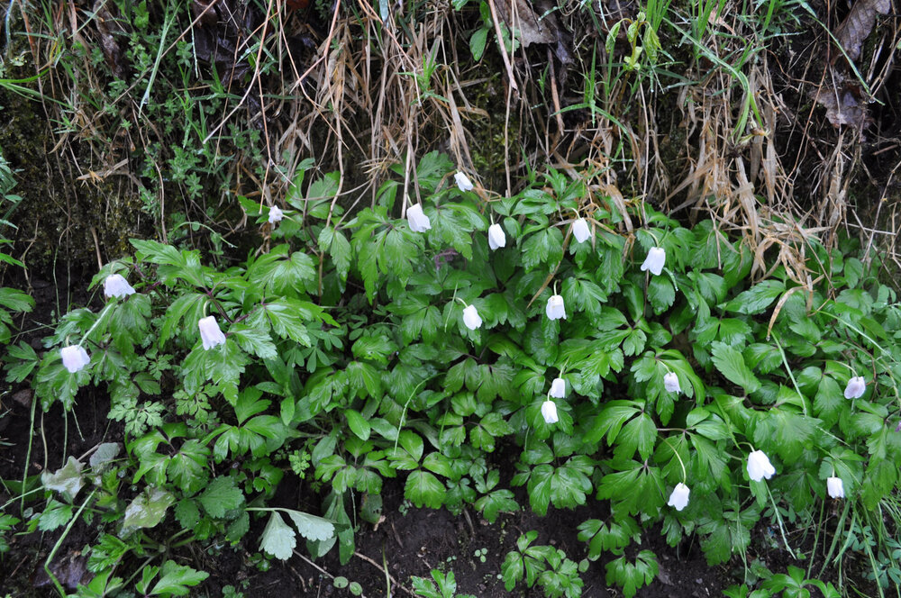 вояж 2013  (4051).jpg