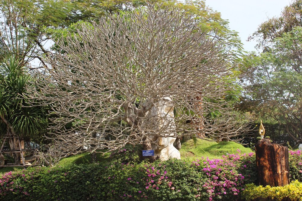 Изображение 782.jpg