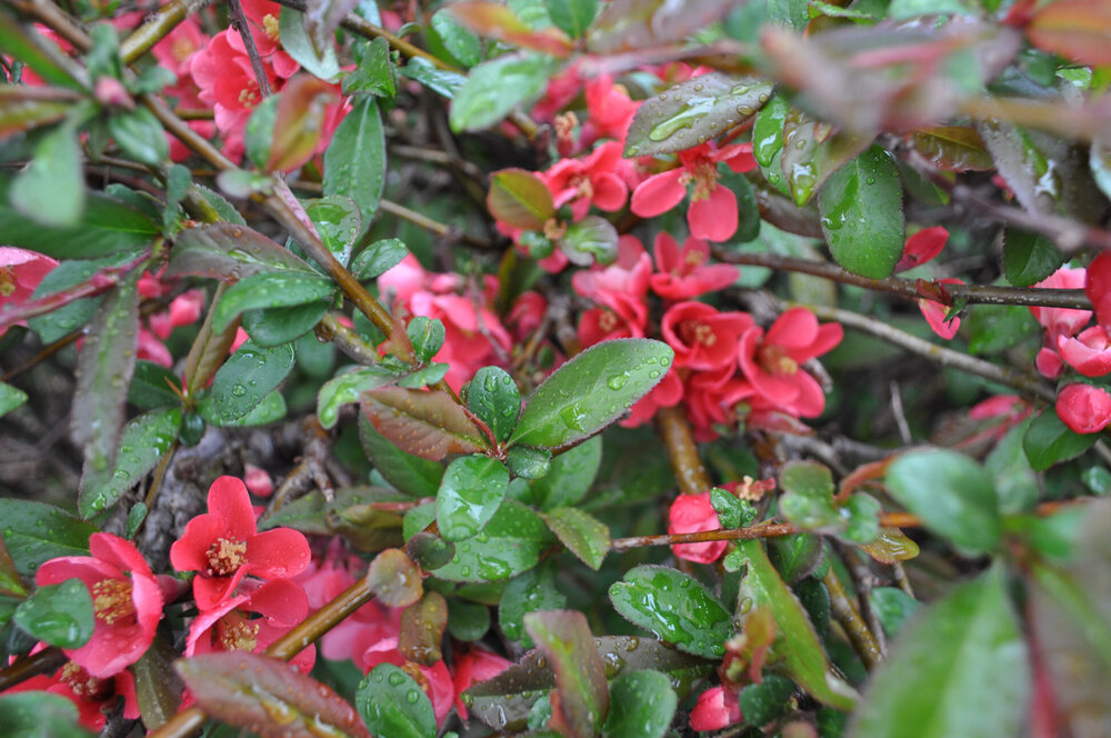 вояж 2013  (3608).jpg