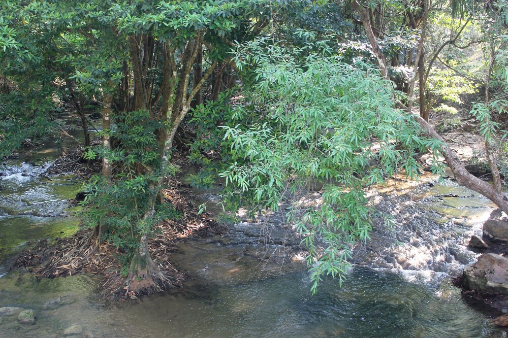 Изображение 1199.jpg