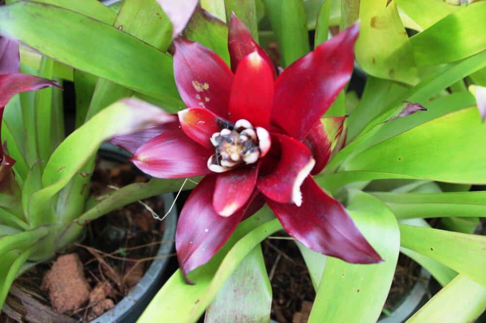 Изображение 1861.jpg