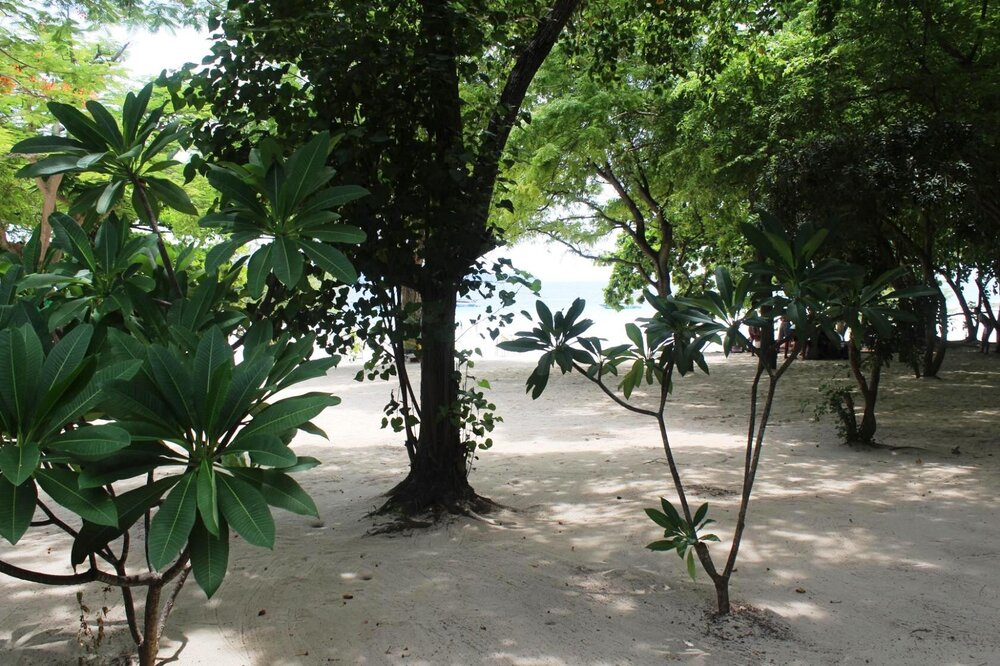 Изображение 1547.jpg