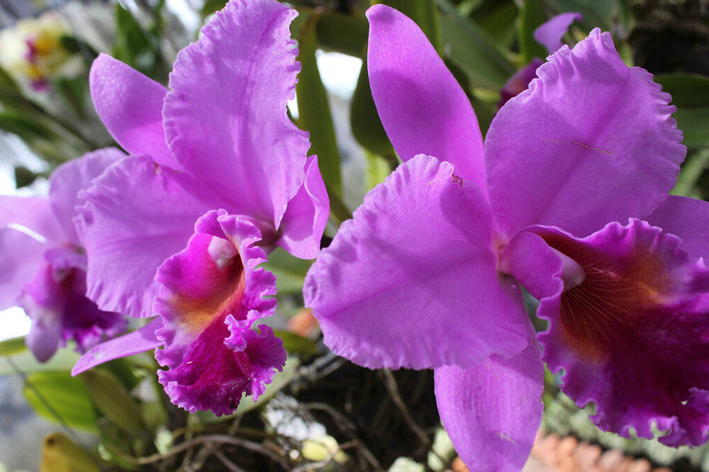 изображение 100.jpg