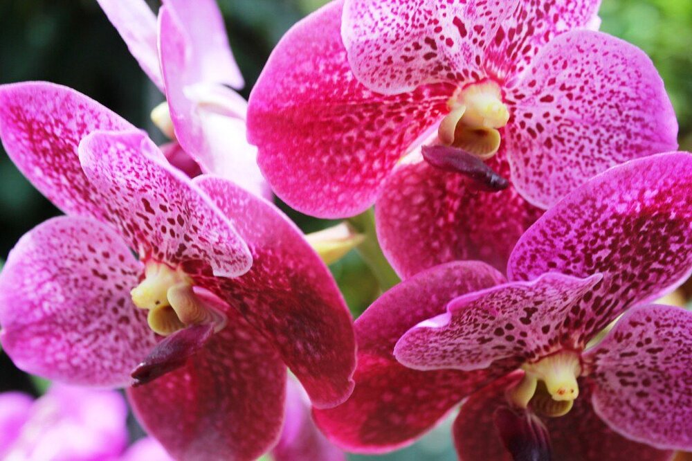 изображение 99.jpg