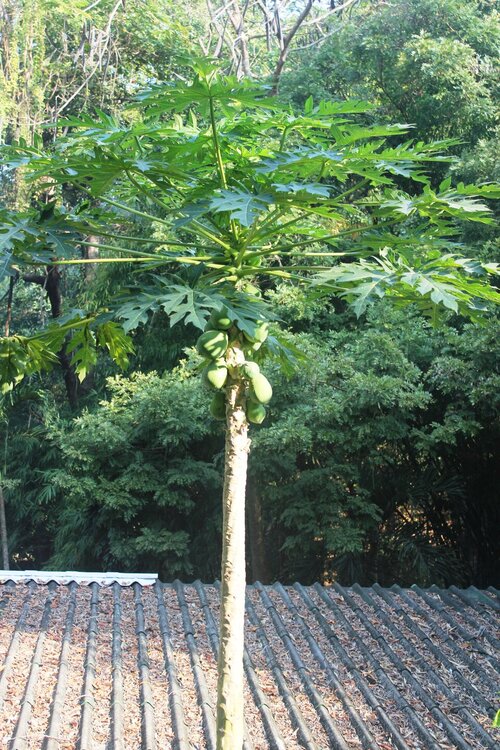 Изображение 1182.jpg