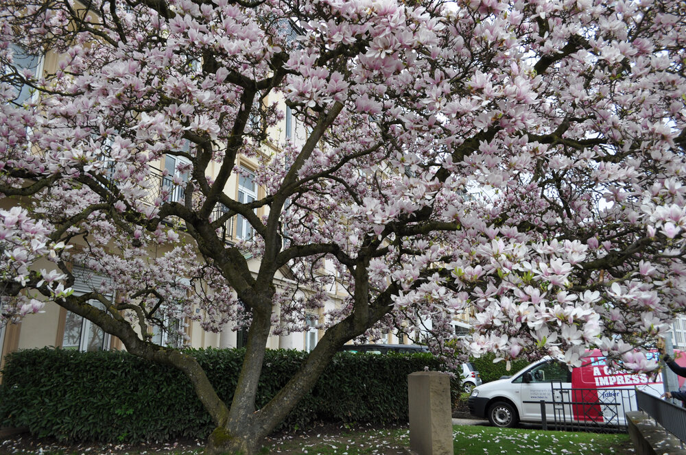 вояж 2013  (3644).jpg