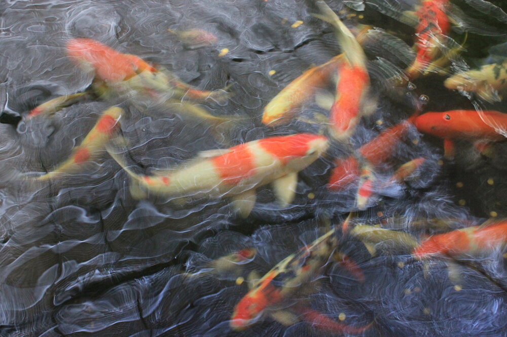 Изображение 792.jpg