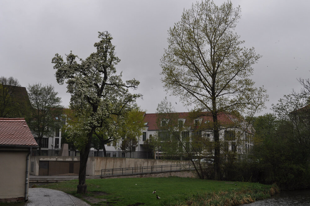 вояж 2013  (4082).jpg