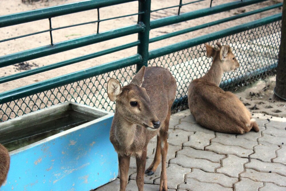 Изображение 1764.jpg