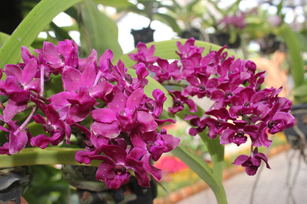 Изображение 1914.jpg