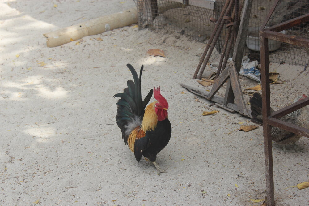 Изображение 1368.jpg