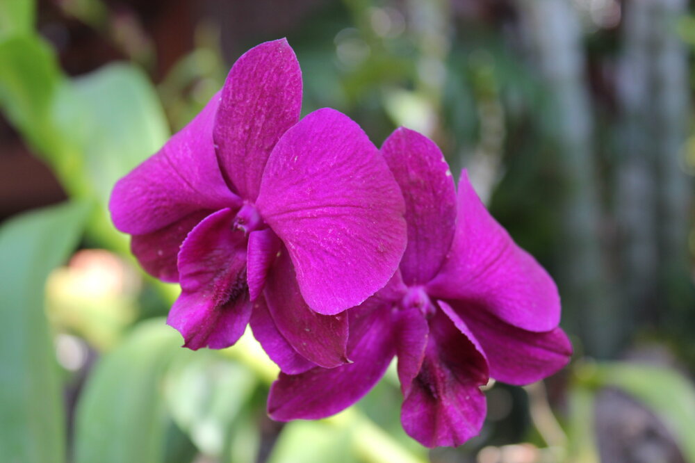 Изображение 2091.jpg