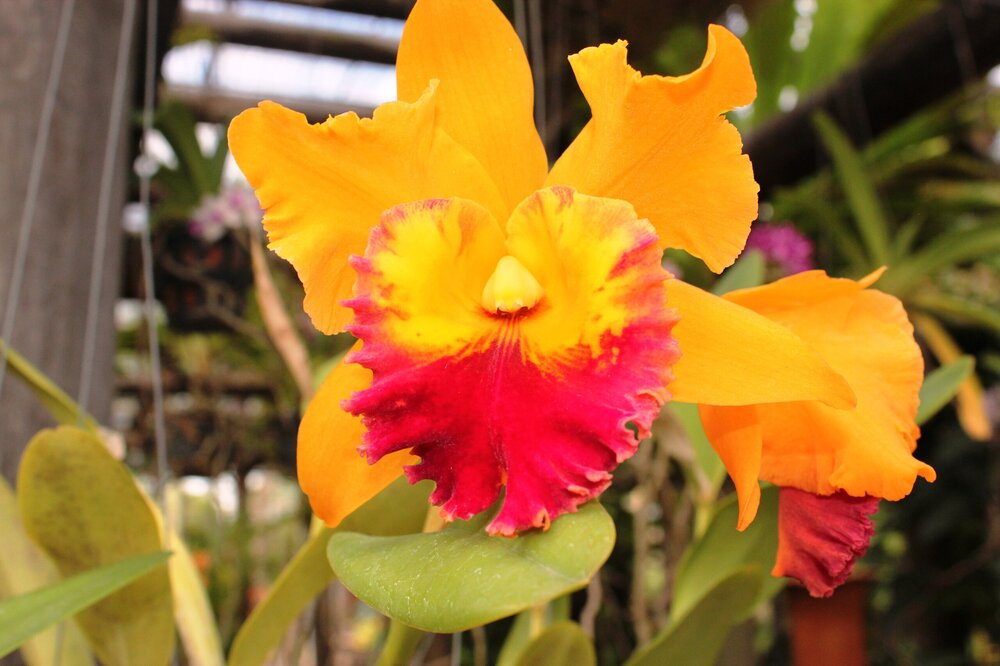 Изображение 1937.jpg