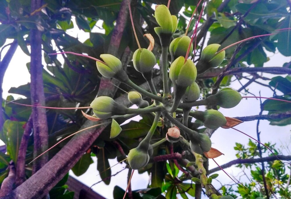 Изображение 1224.jpg