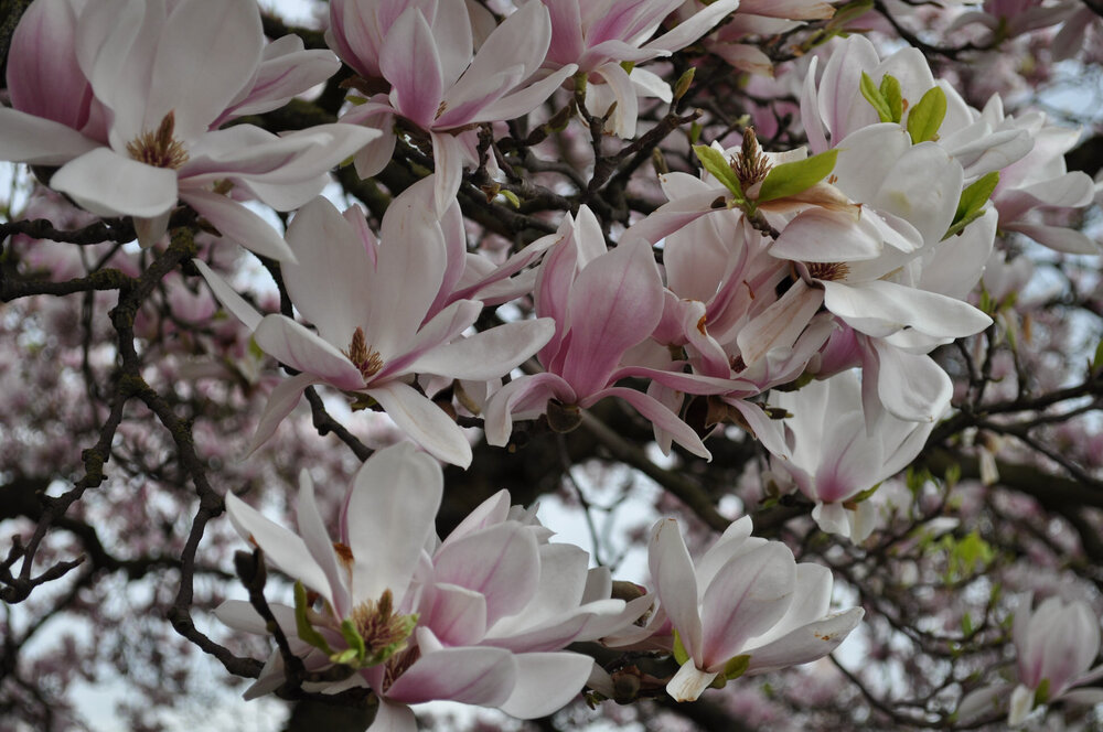 вояж 2013  (3643).jpg