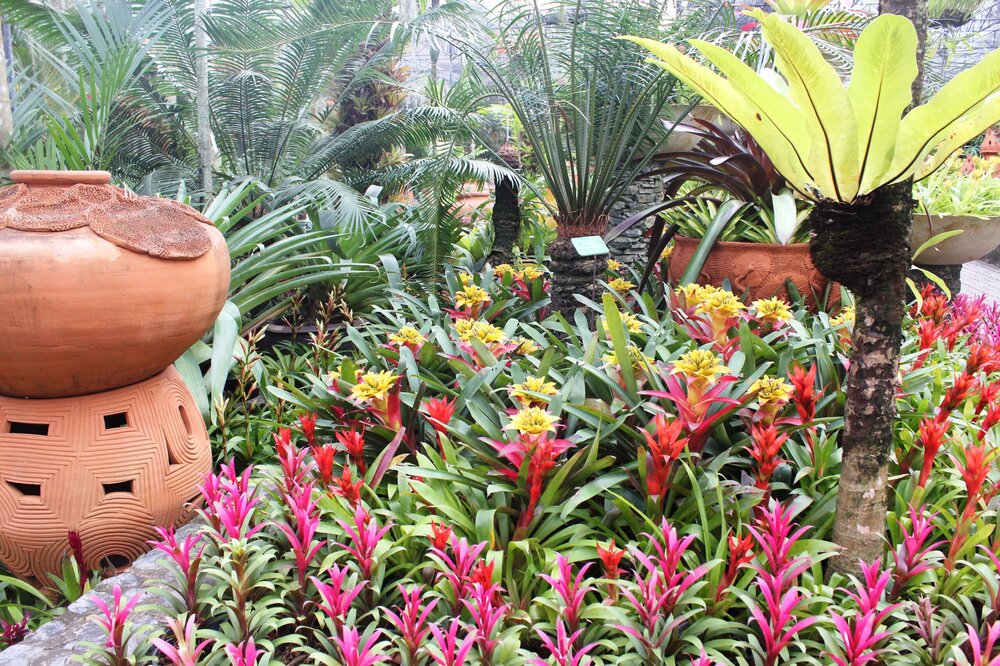 Изображение 1855.jpg