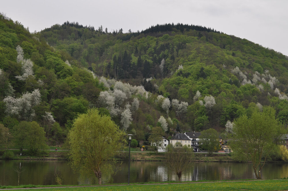 вояж 2013  (3756).jpg