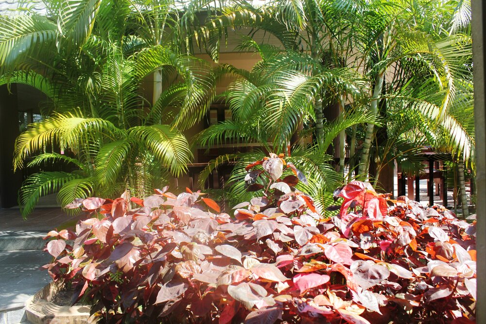 Изображение 1474.jpg