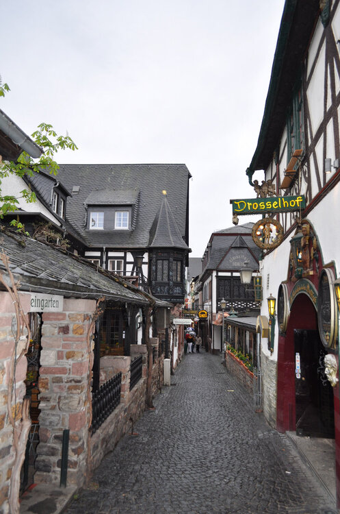 вояж 2013  (3892).jpg