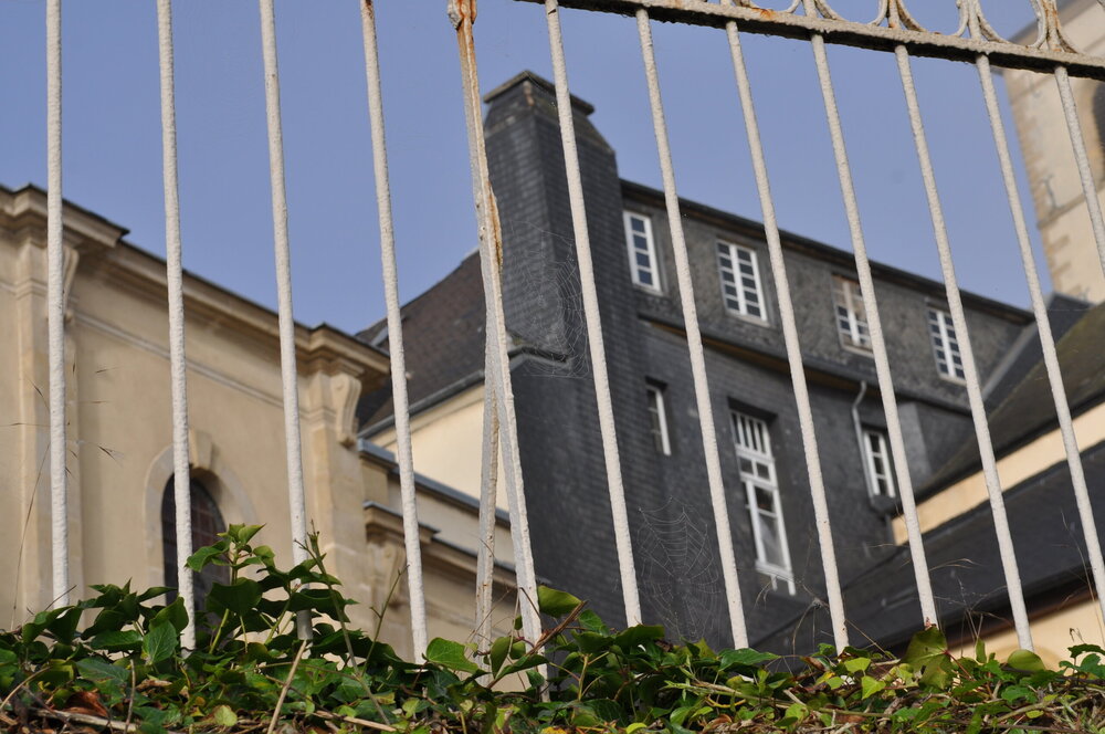 викинги (952).JPG