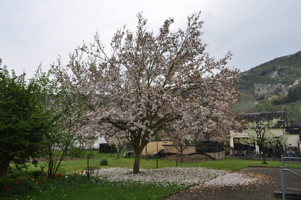 вояж 2013  (3742).jpg